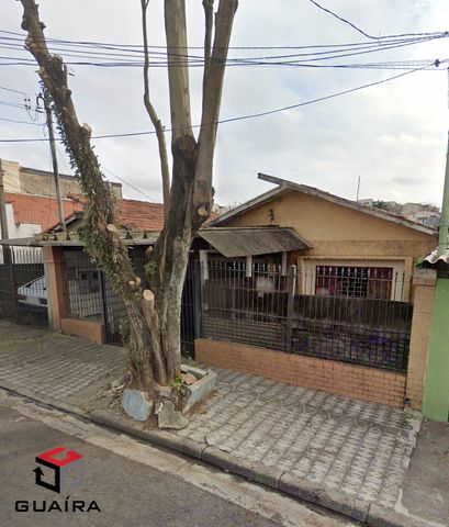 Foto Terreno