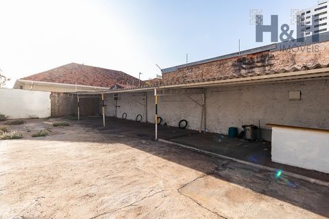 Foto Sala / Conjunto Comercial