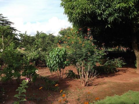 Foto Fazenda / Sítio / Chácara
