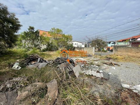 Foto Terreno
