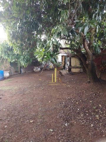 Foto Terreno