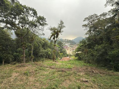 Foto Terreno