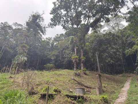 Foto Terreno