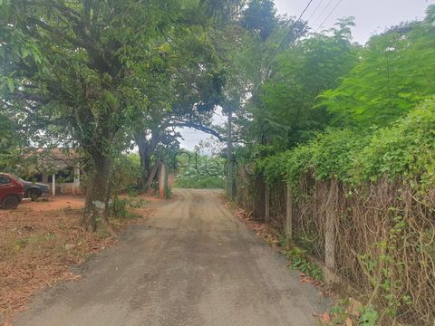 Foto Fazenda / Sítio / Chácara