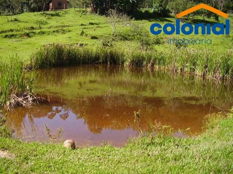 Foto Fazenda / Sítio / Chácara