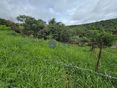 Foto Terreno