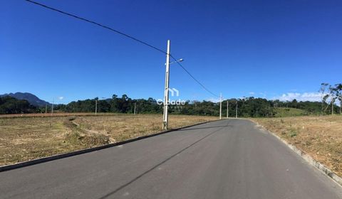 Foto Terreno