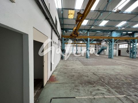 Foto Galpão / Depósito / Armazém / Pavilhão