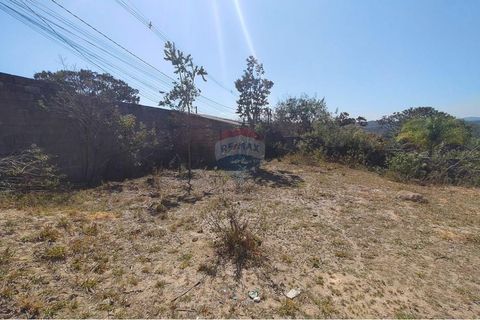 Foto Terreno