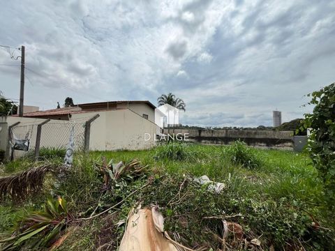 Foto Terreno
