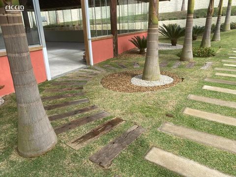 Foto Terreno