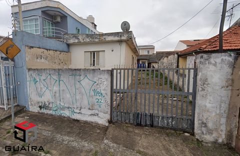Foto Terreno