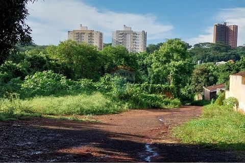 Foto Terreno