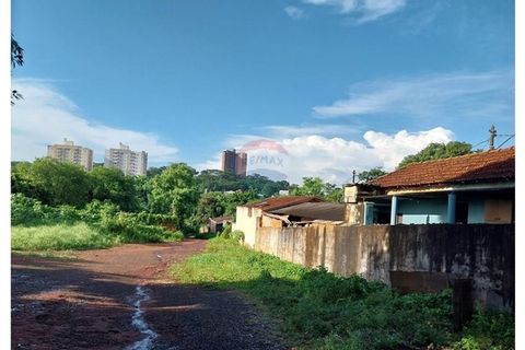 Foto Terreno