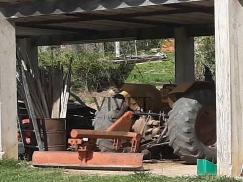 Foto Fazenda / Sítio / Chácara