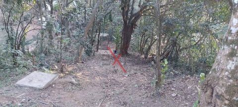 Foto Fazenda / Sítio / Chácara