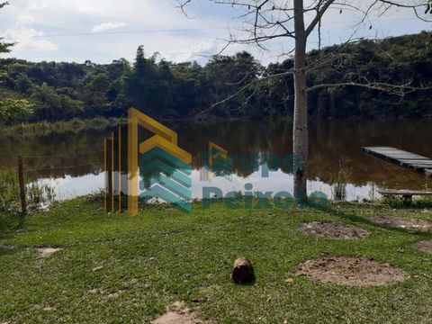 Foto Fazenda / Sítio / Chácara