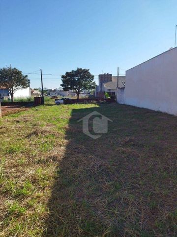 Foto Terreno