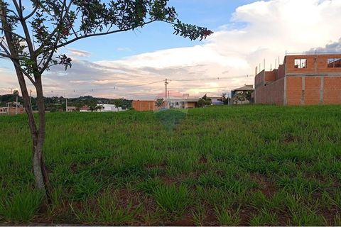 Foto Terreno