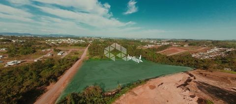 Foto Terreno