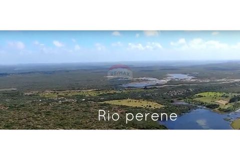 Foto Terreno