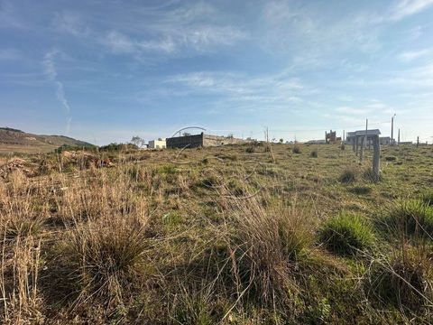 Foto Terreno