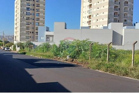 Foto Terreno