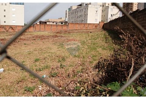 Foto Terreno