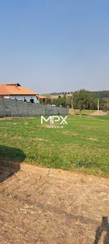 Foto Terreno