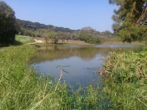Foto Terreno