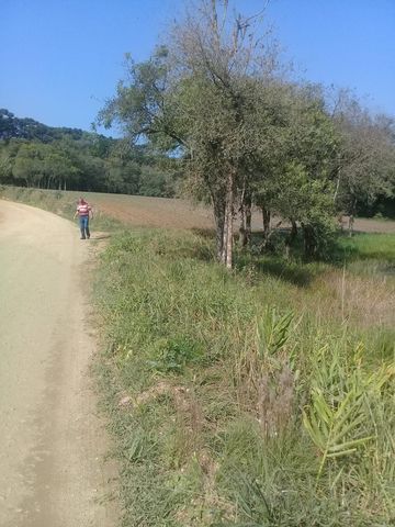 Foto Terreno