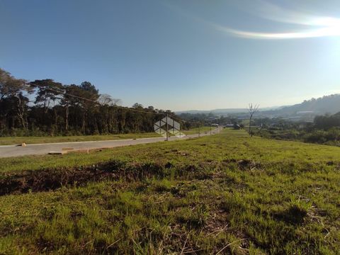Foto Terreno