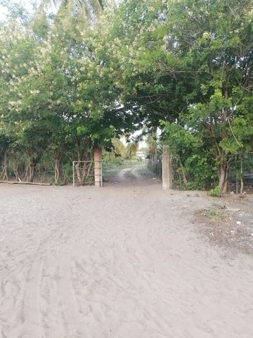 Foto Fazenda / Sítio / Chácara