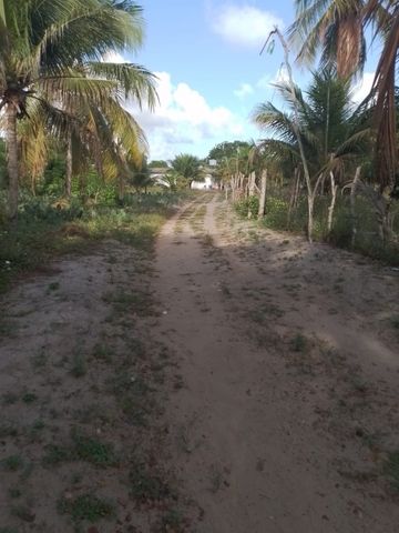 Foto Fazenda / Sítio / Chácara