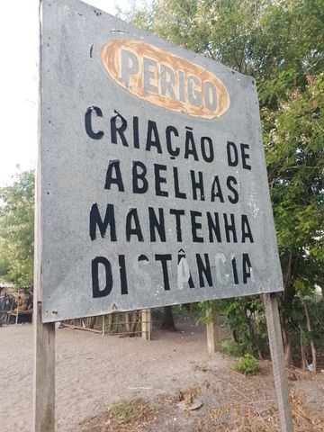 Foto Fazenda / Sítio / Chácara