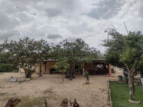 Foto Fazenda / Sítio / Chácara