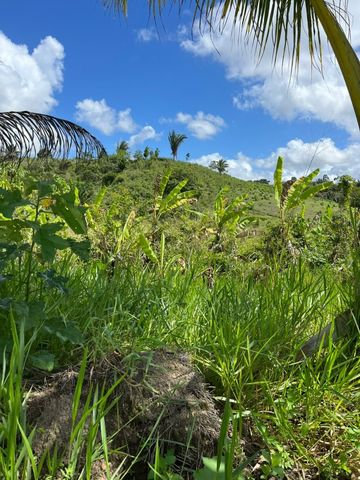 Foto Fazenda / Sítio / Chácara