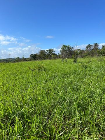 Foto Fazenda / Sítio / Chácara