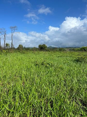 Foto Fazenda / Sítio / Chácara