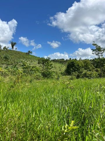 Foto Fazenda / Sítio / Chácara