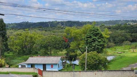 Foto Fazenda / Sítio / Chácara