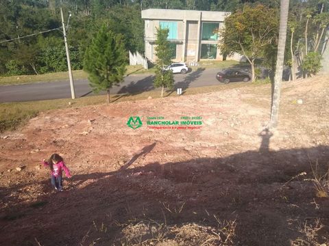 Foto Terreno