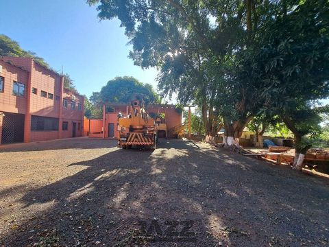 Foto Terreno