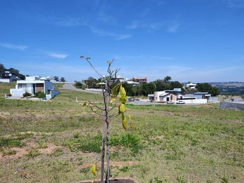 Foto Terreno