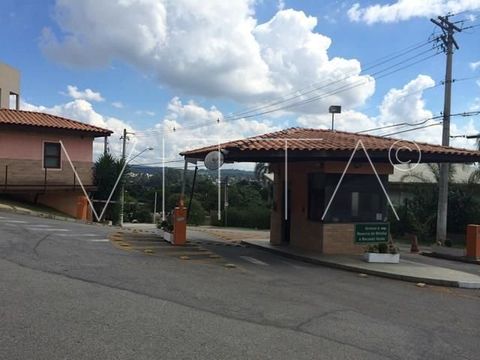 Foto Terreno
