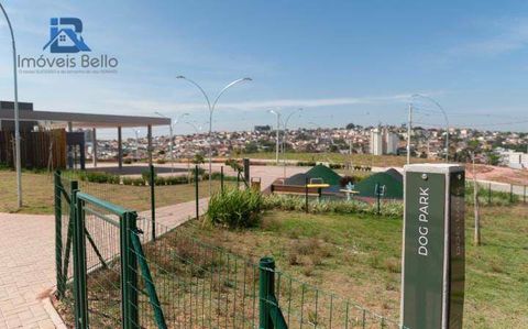 Foto Terreno