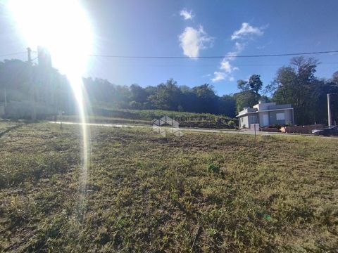 Foto Terreno