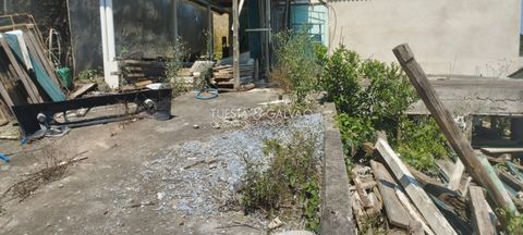 Foto Terreno