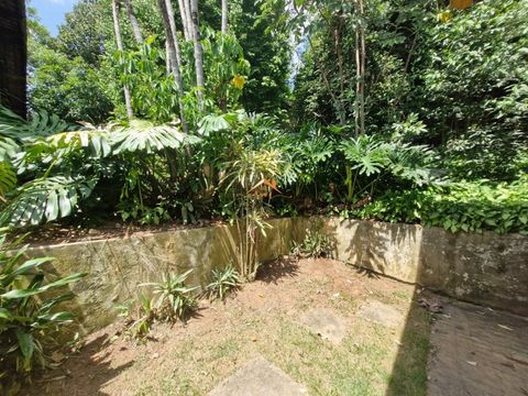 Foto Fazenda / Sítio / Chácara