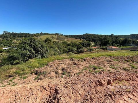 Foto Terreno